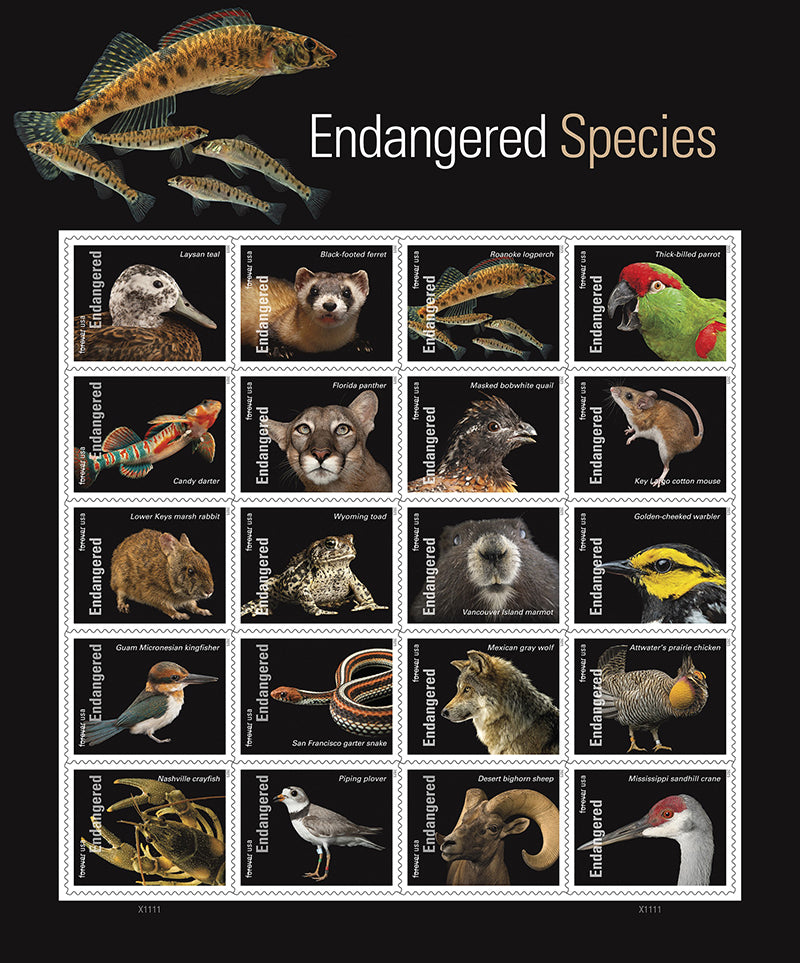 2023 Endangered Species Stamps