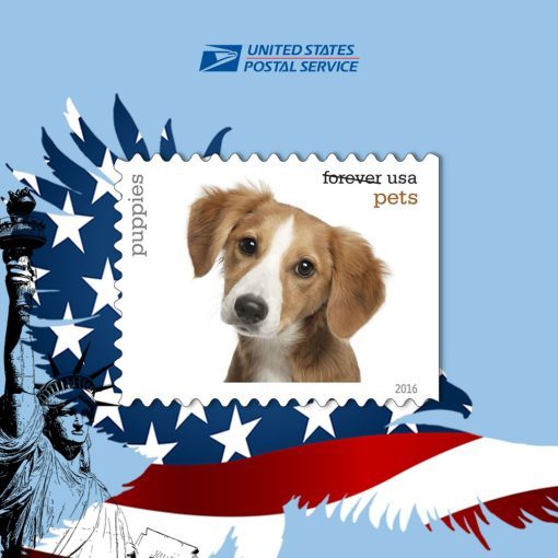 Pets Celebrate Animals 2016 Stamps