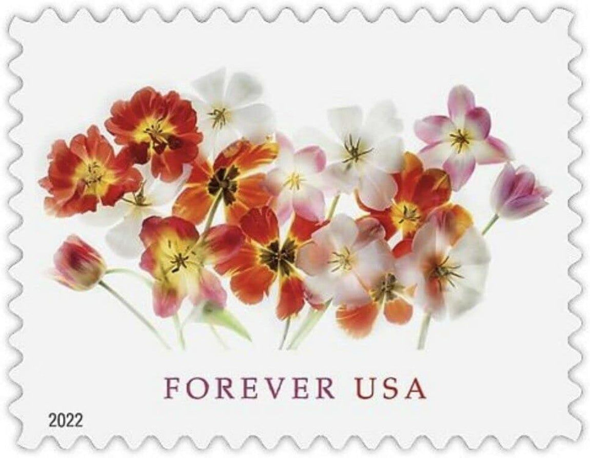 2022 US Forever First-Class Postage Tulips Stamps